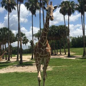 Meet your Posher, Sharon